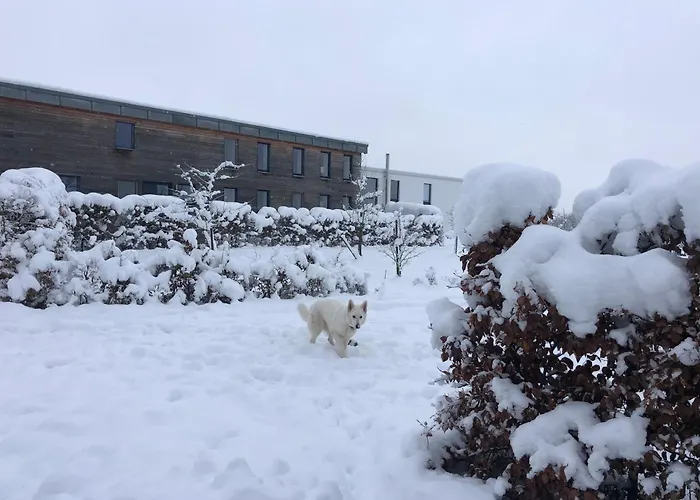 Ferienhaus Blocksberg Am Trial Und Enduro Park Dockweiler